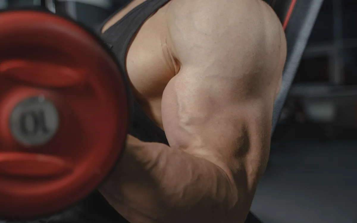 Ile serii na biceps wykonywać tygodniowo?
