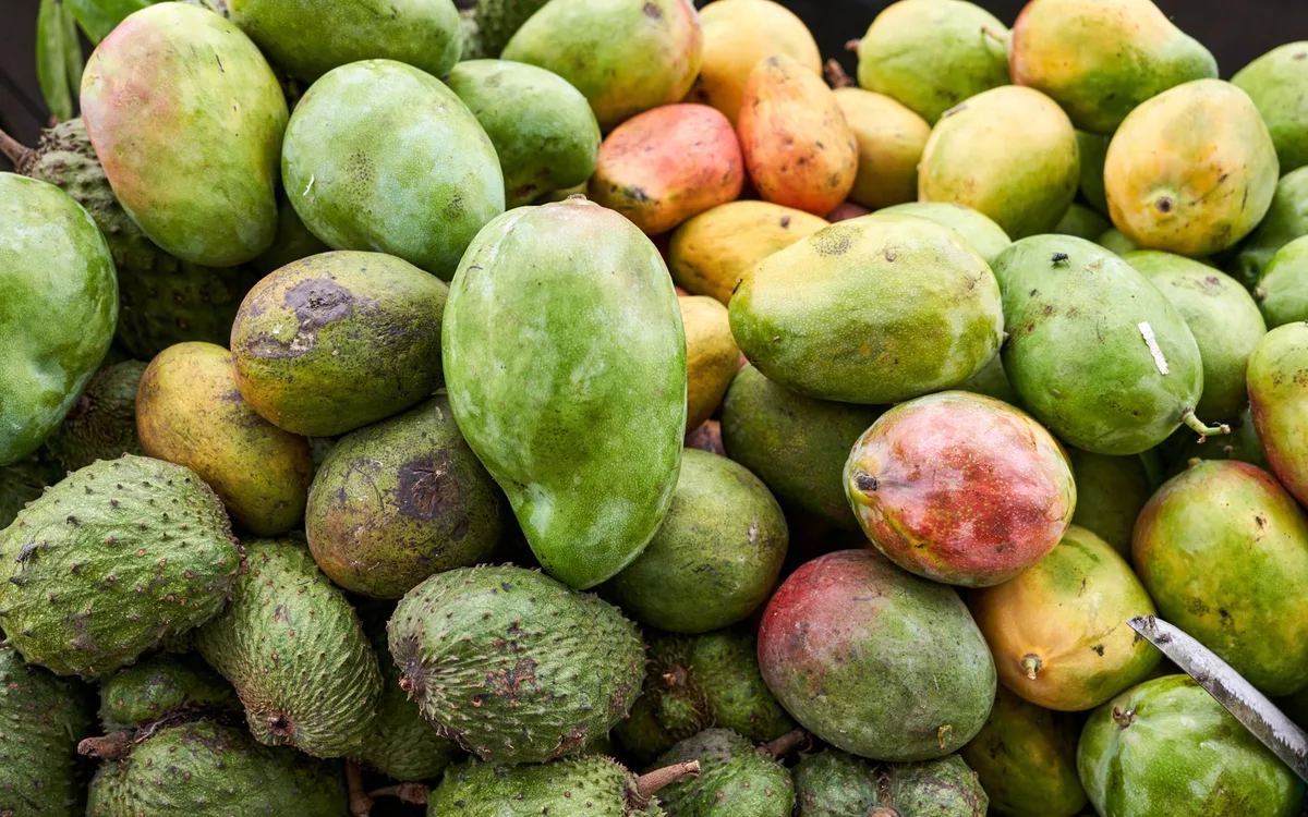 Wartości odżywcze mango: makro, błonnik i witaminy