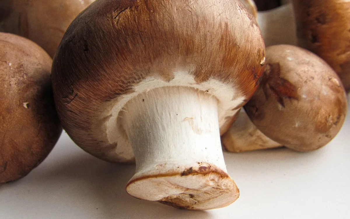 Witaminy i minerały w pieczarkach - co realnie wnoszą do diety?