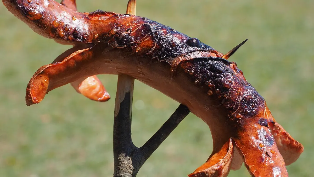 Grillowana kaszanka pokrojona na talerzu z dodatkiem cebuli
