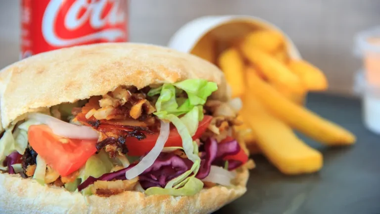 Kebab na talerzu z mięsem, frytkami, warzywami i sosem