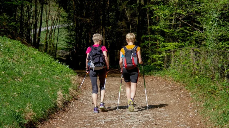 Kijki do nordic walking podczas marszu po parkowej ścieżce