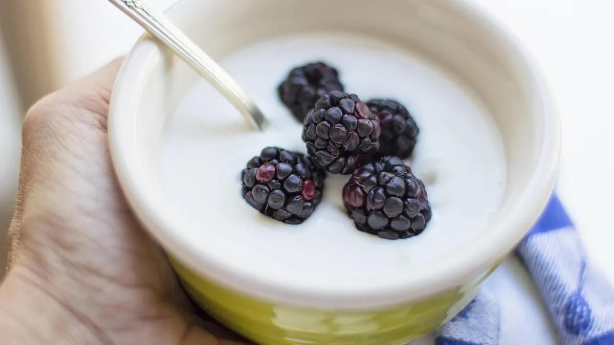 Miska gęstego skyru naturalnego obok kubeczka jogurtu proteinowego